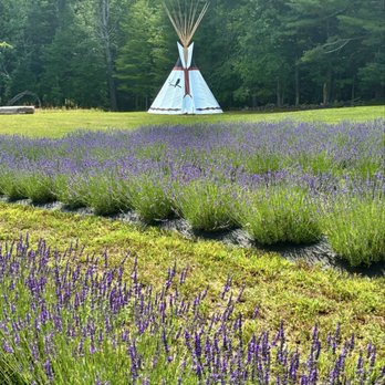 Blue Winds Farm - Pick Your Own Farms Near Me - Strafford, New Hampshire Blue Winds Farm - Pick Your Own Farms Near Me - Strafford, New Hampshire