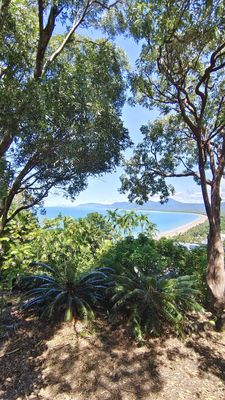 Trinity Bay Lookout by null
