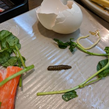Spring Shabu-Shabu - caterpillar found with the watercress - Japanese Near Me - Flushing, New York