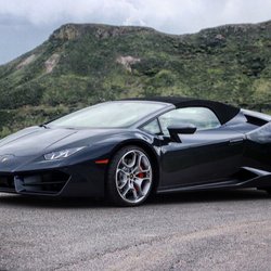 EVERYBODY wants a Lambo!
