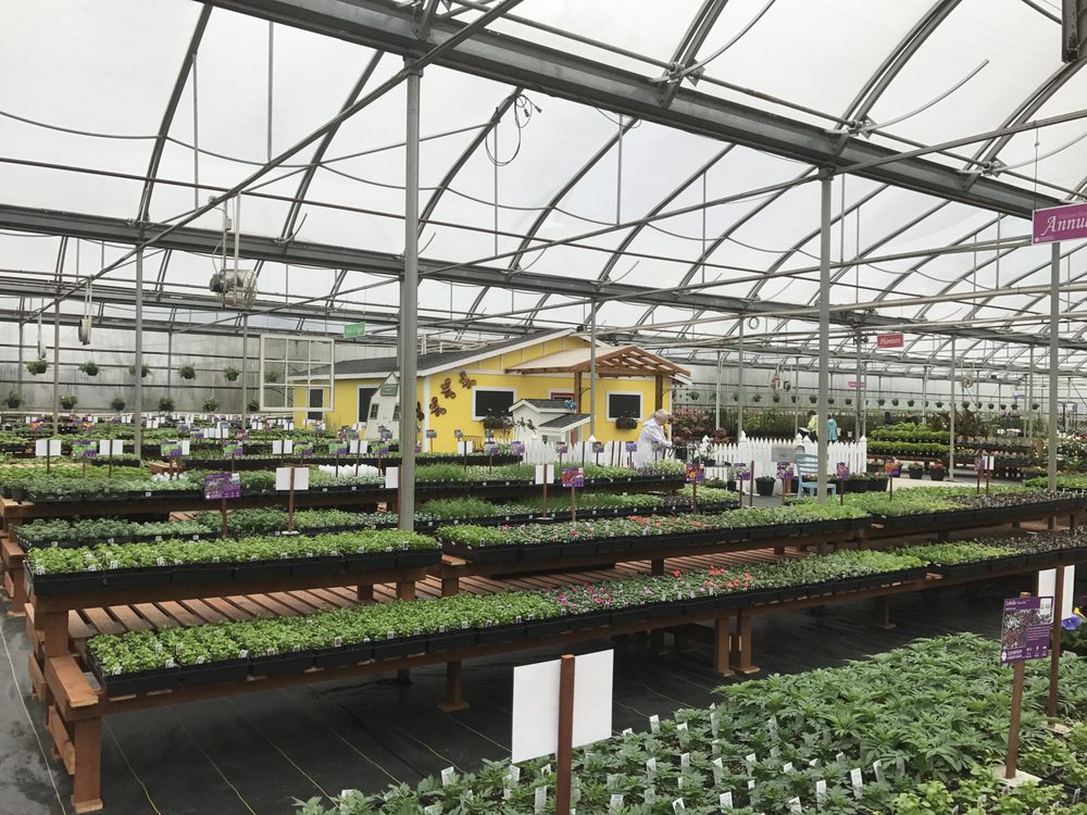 CLEARVIEW GARDEN SHOP Updated October 2024 26350 56 Avenue