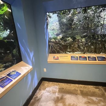 Newport Aquarium - Aquariums Near Me - Newport, Kentucky