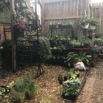 City Grows - Gift Shops Near Me - Pittsburgh, Pennsylvania City Grows - Gift Shops Near Me - Pittsburgh, Pennsylvania