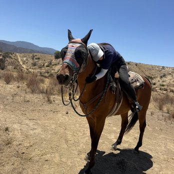 Saddle Up Wine Tours - Horseback Riding Near Me - Aguanga, California Saddle Up Wine Tours - Horseback Riding Near Me - Aguanga, California