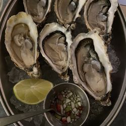 Plaquemine Lock - Oysters