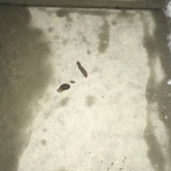Grand Summit Apartments - Poop on sidewalk, management can't do anything - Apartments Near Me - Grandview, Missouri