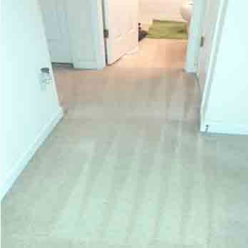 All Fresh Carpet Cleaners - Carpet Cleaning Near Me All Fresh Carpet Cleaners - Carpet Cleaning Near Me