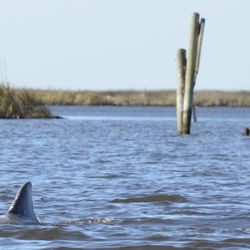 Salt & Spring Kayak Tours