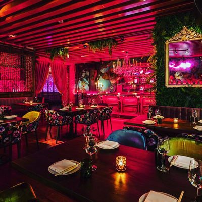 Mandrake Miami by null