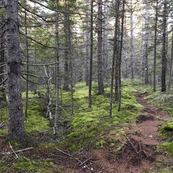 Hackett & Minot Trails