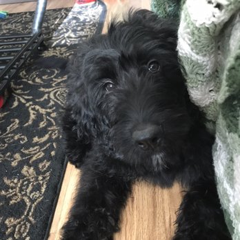 Tom's Pet Outlet - Pet Stores Near Me - Norristown, Pennsylvania