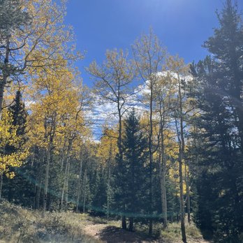 Mueller State Park - Hiking Near Me - Divide, Colorado