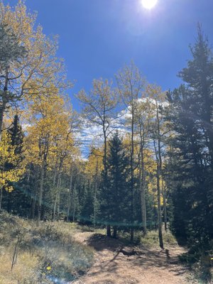 Mueller State Park by null