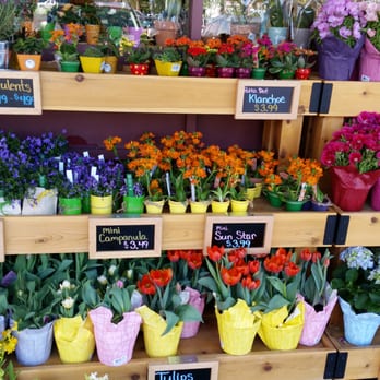 Trader Joe's - Pretty flowers - Grocery Near Me - Fair Oaks, California Trader Joe's - Pretty flowers - Grocery Near Me - Fair Oaks, California