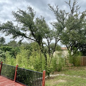 Silver Tree Care  - Tree Services Near Me