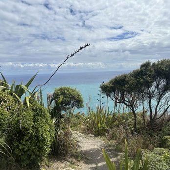 Bush and Beach - The hike along side beach - Walking Tours Near Me - Auckland, AUK