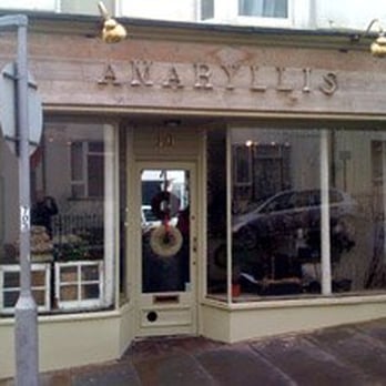 Amaryllis - Florists Near Me - Hove, BNH