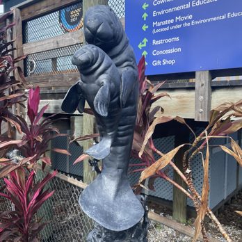 Manatee Viewing Center - Another cute statue - Zoos Near Me - Apollo Beach, Florida