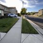 Photo of Maplewood Landscaping