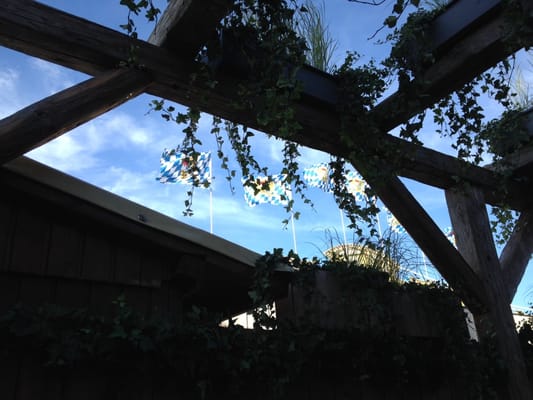 Kufflers Weinzelt by null