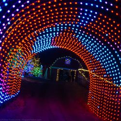 Creative Displays