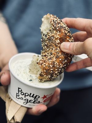 Popup Bagels by null Popup Bagels by null