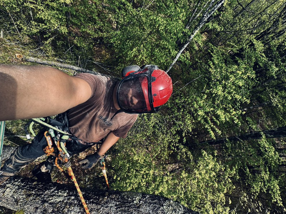 JC Arborist - tree service in Portland, ME