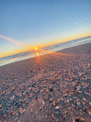 Anna Maria Island Beach Cafe by null