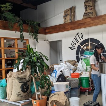 Acento Coffee Roasters - Coffee Roasteries Near Me - San Diego, California Acento Coffee Roasters - Coffee Roasteries Near Me - San Diego, California
