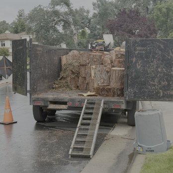 Titan Tree Service - Tree Services Near Me - Sacramento, California Titan Tree Service - Tree Services Near Me - Sacramento, California