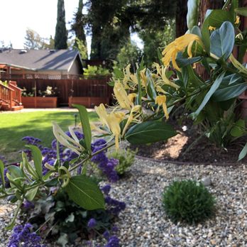 Hansen Landscape Contractor - Landscape Architects or Designers Near Me Hansen Landscape Contractor - Landscape Architects or Designers Near Me