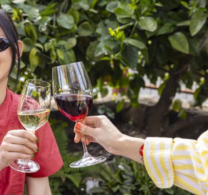 Clif Family Winery by null