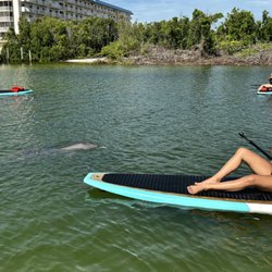 Three Brothers Adventure Tours and Paddleboards  - Exploring Daytona Beach waterways with dolphins!
