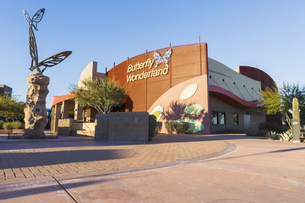 Photo of Butterfly Wonderland - Scottsdale, AZ, US.