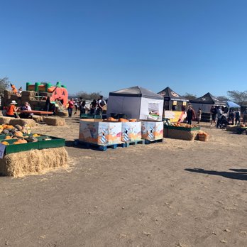 Borchard Farms - Pumpkin Patches Near Me - Salinas, California