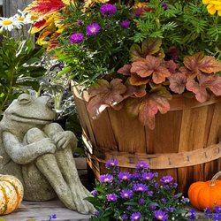Natureworks - Fall planters bring joy to your deck!