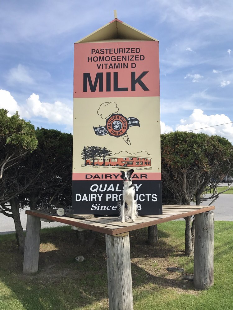 Houlton Farms Dairy Bar Logo