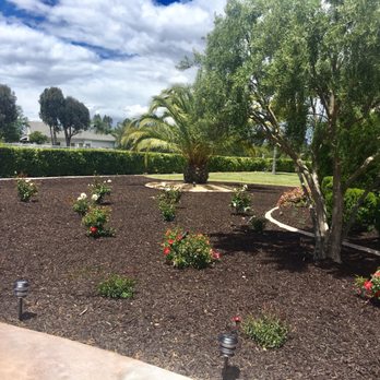 McCabe's Landscape Construction - THANK YOU MCCABE'S LANDSCAPE CONSTRUCTION!  I CAN'T WAIT TO SEE HOW EVERYTHING FILLS IN, IN THE COMING MONTHS - Landscaping Near Me - Murrieta, California
