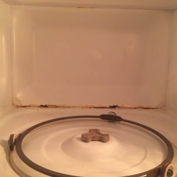 Lime Tree Bay Resort - Let's not use the microwave! - Resorts Near Me - Long Key, Florida Lime Tree Bay Resort - Let's not use the microwave! - Resorts Near Me - Long Key, Florida