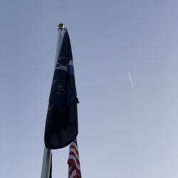 Parade Of Flags - Space force