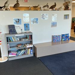The Connecticut Audubon Society - Library