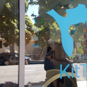 KitTea - Pet Adoption Near Me - San Francisco, California
