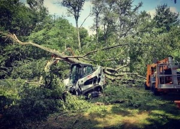 Avery Lawn Tree Landscape - tree service in Des Moines, IA