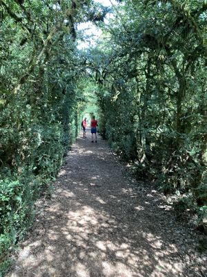 The Marqueyssac Gardens by null