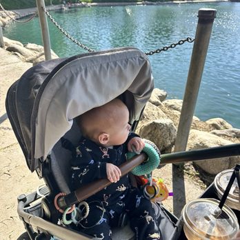 Eisenhower Park - Lake - Parks Near Me - Orange, California