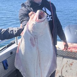 Nice Halibut Catch