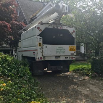 Anthony Landscaping & Tree Service - Tree Services Near Me Anthony Landscaping & Tree Service - Tree Services Near Me
