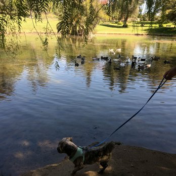 Redlands Dog Park - Dog Parks Near Me - Redlands, California Redlands Dog Park - Dog Parks Near Me - Redlands, California