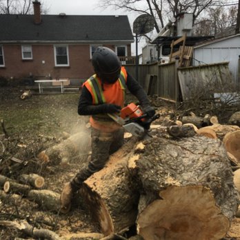 Running Wood Tree Service - Tree Services Near Me Running Wood Tree Service - Tree Services Near Me