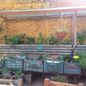 Vía Orgánica - Urban organic garden - Farmers Market Near Me - San Miguel de Allende, GUA Vía Orgánica - Urban organic garden - Farmers Market Near Me - San Miguel de Allende, GUA